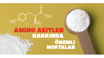 Amino Asitler Hakkında Önemli Noktalar