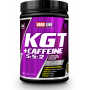 KGT  KREATIN GLUTAMIN TAURIN  + 751,37 TL 