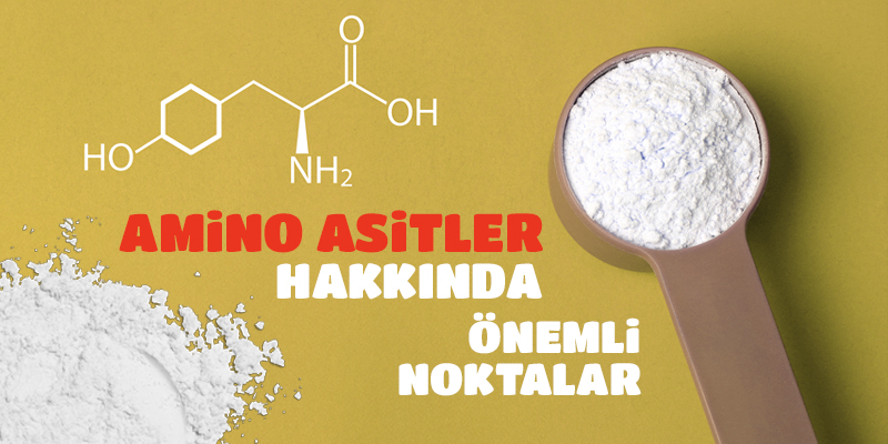 Amino Asitler Hakkında Önemli Noktalar